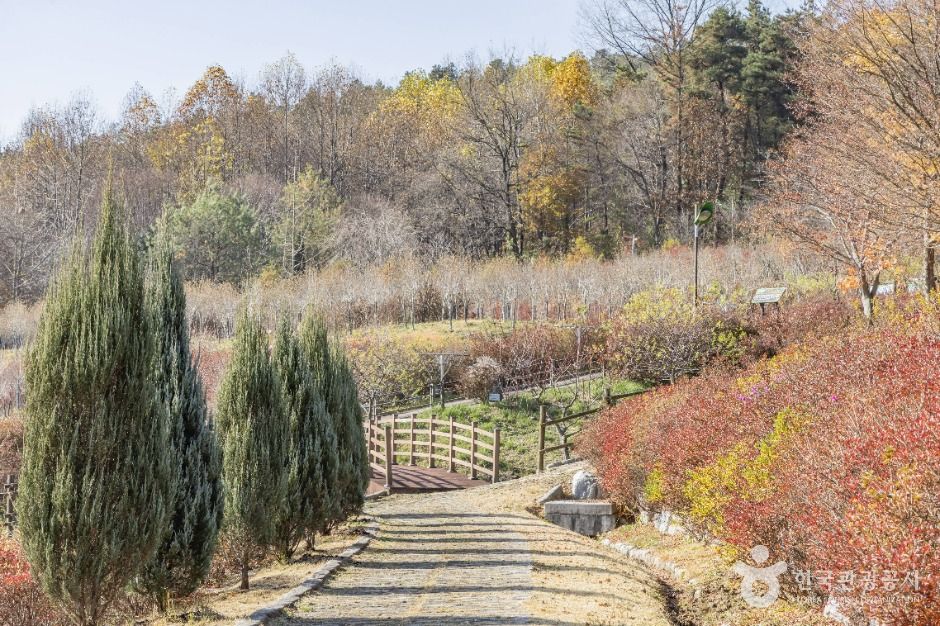 진안_고원화목원 (8)