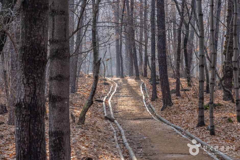 대모산도시자연공원