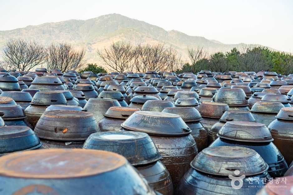 광양_홍쌍리 청매실농원 (9)