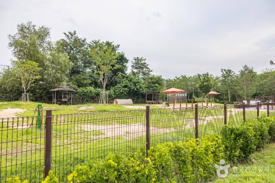 인천대공원 반려동물 놀이터