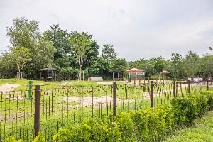 인천대공원 반려동물 놀이터