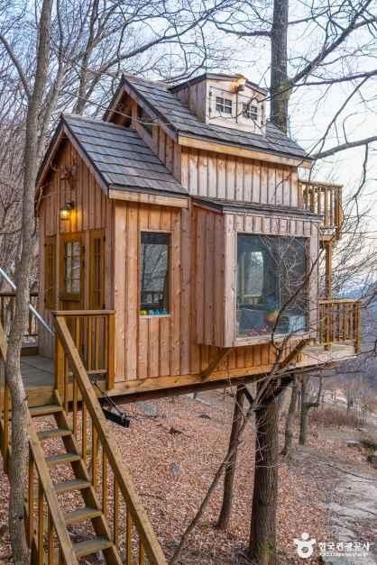 thumbnail-김천 물소리 생태숲-9