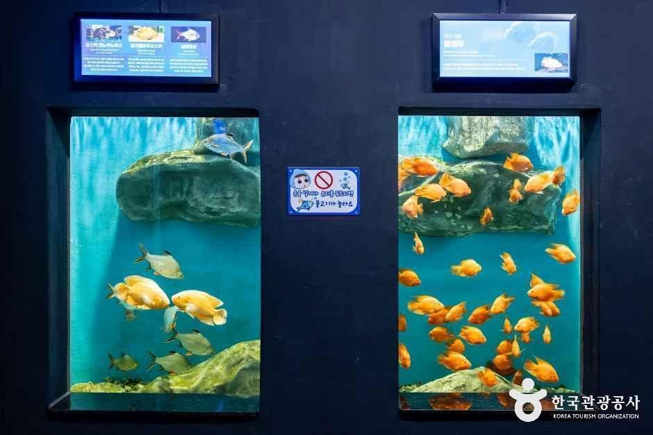 thumbnail-충북아쿠아리움-9