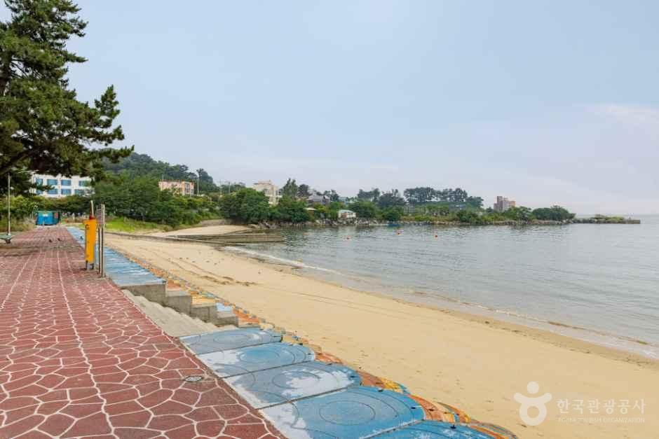thumbnail-용두해수욕장숲속야영장-5