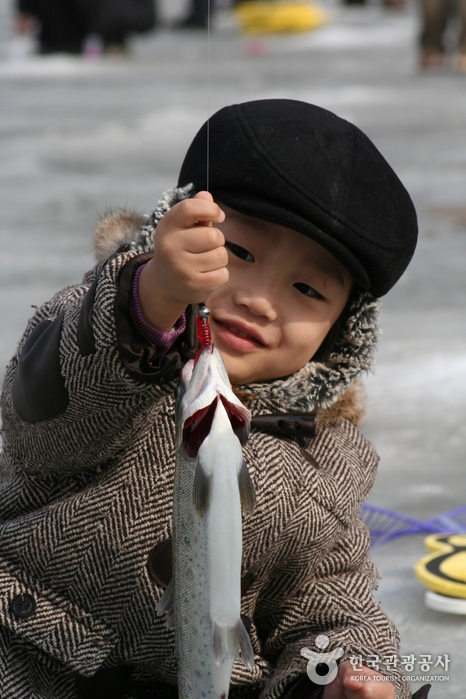 Hwacheon Sancheoneo (Mount Trout) Ice Festival (얼음나라 화천 산천어축제)