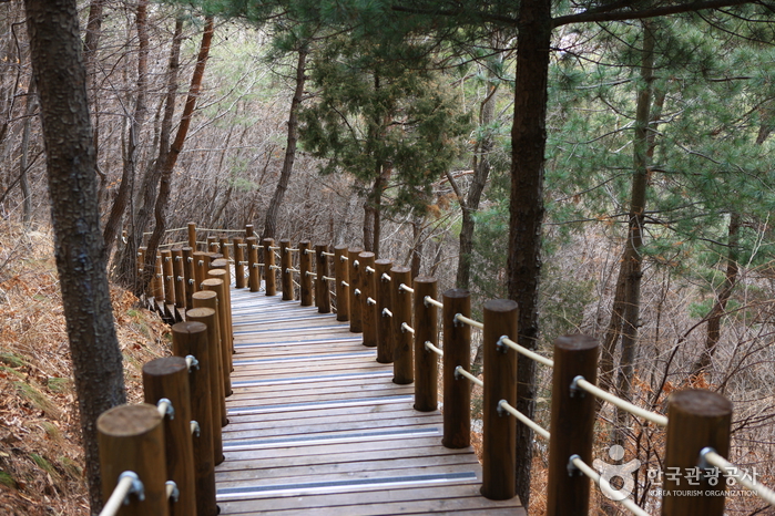 Taekwondowon Observatory (태권도공원 전망대)