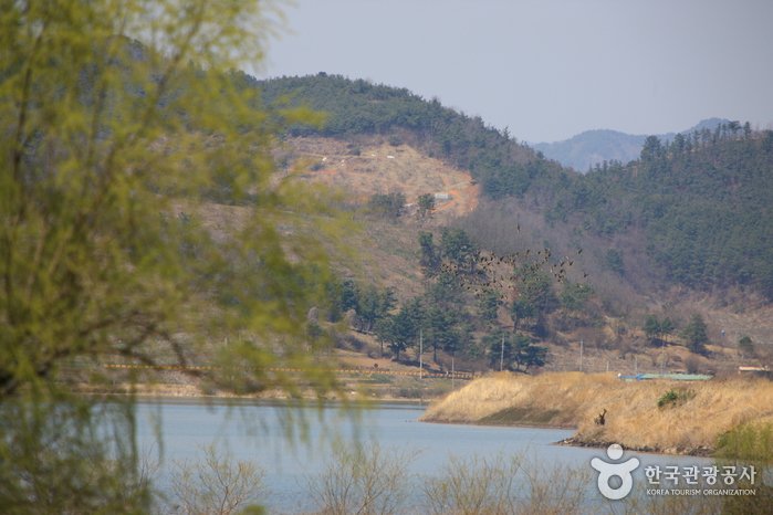 Junam Reservoir (주남저수지)