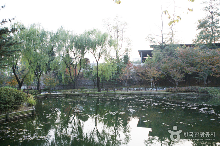 Yongsan Park (용산공원)