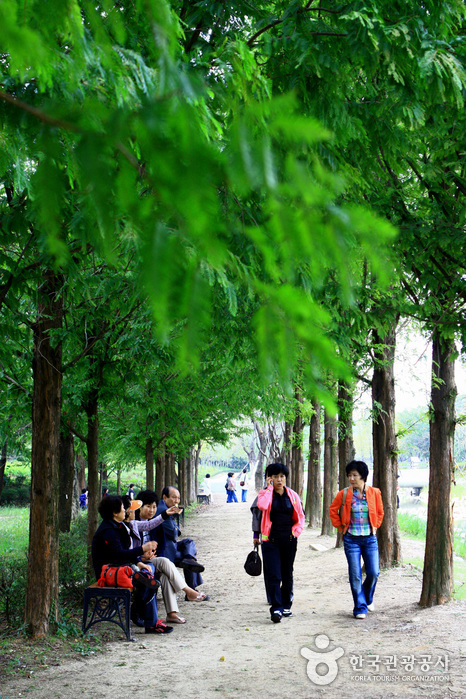 Mulhyanggi Arboretum (물향기수목원)