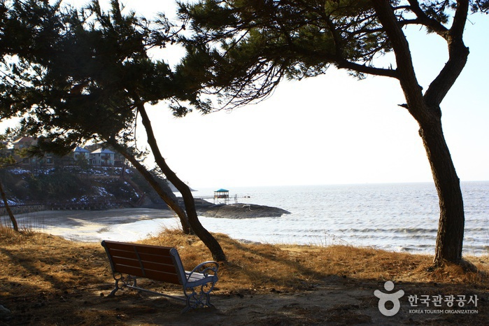 Jeungdo Island [A Slow City](증도)