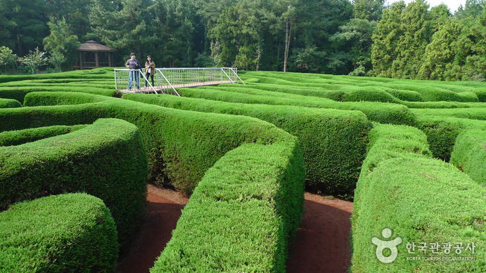 Gimnyeong Maze Park (김녕미로공원)