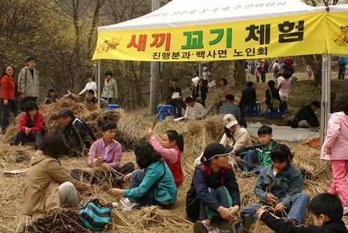 Icheon Baeksa Sansuyu Flower Festival (이천백사 산수유꽃축제)
