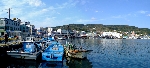 감포항_00