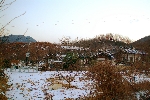 오작당_04