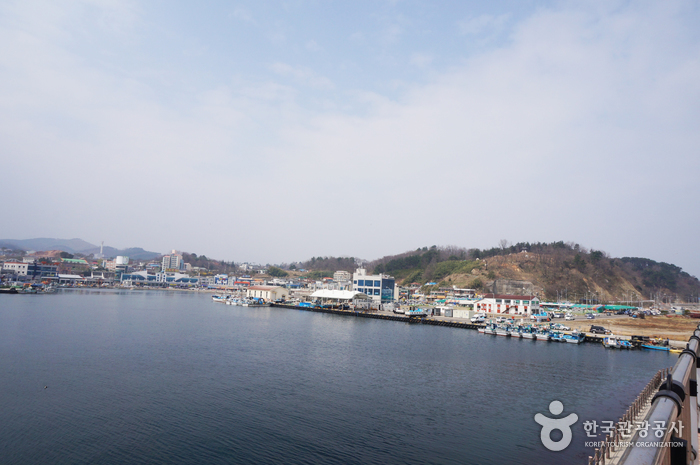 대포항 사진15