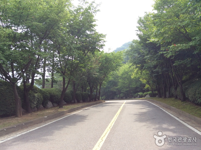 파인크리크 컨트리클럽2