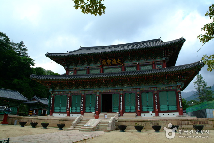 보은 법주사 사진4