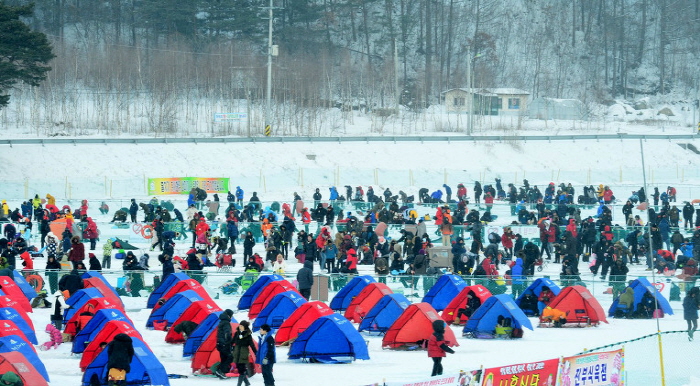 Pyeongchang Trout Festival (평창송어축제)