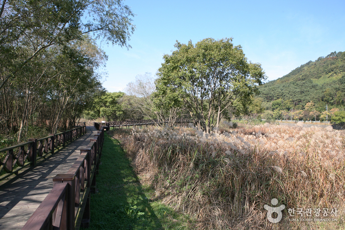 光州湖湖水生態園(광주호 호수생태원)