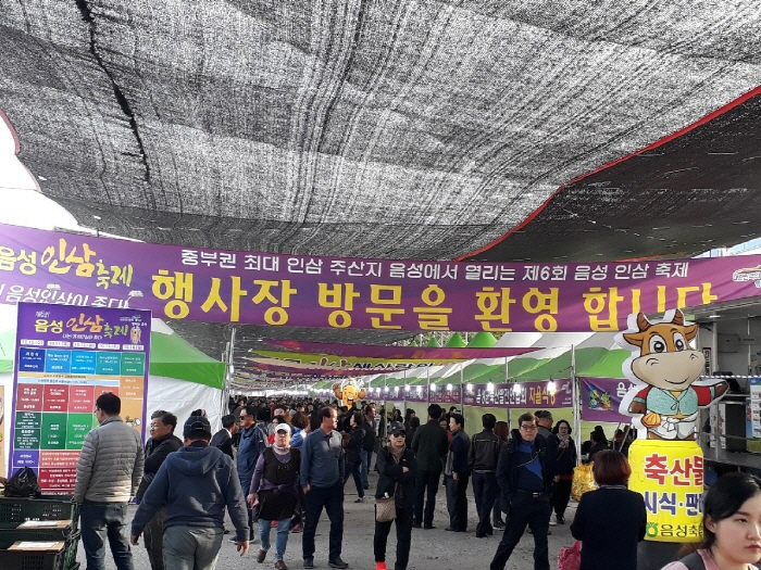 음성 인삼축제 20190