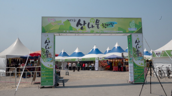 강원 산나물한마당축제 20193