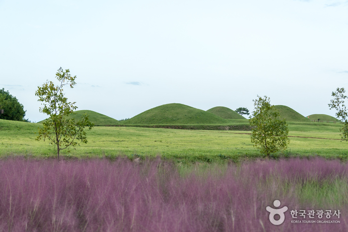 의성 금성산 고분군4