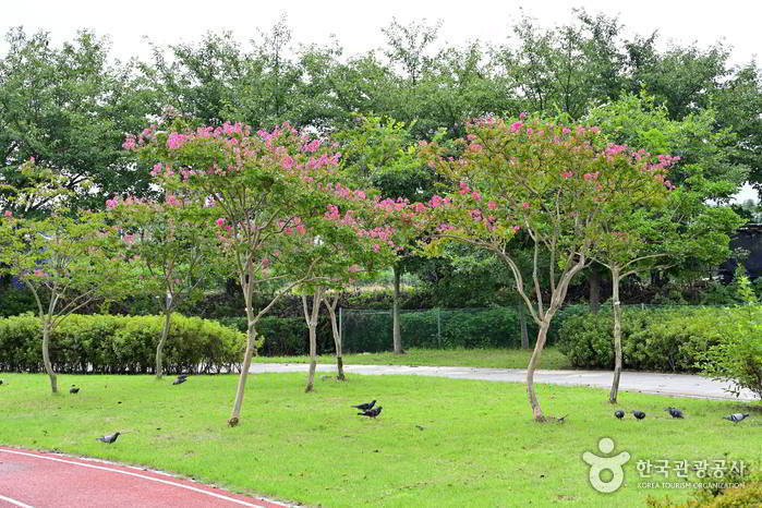 대저수문 생태공원