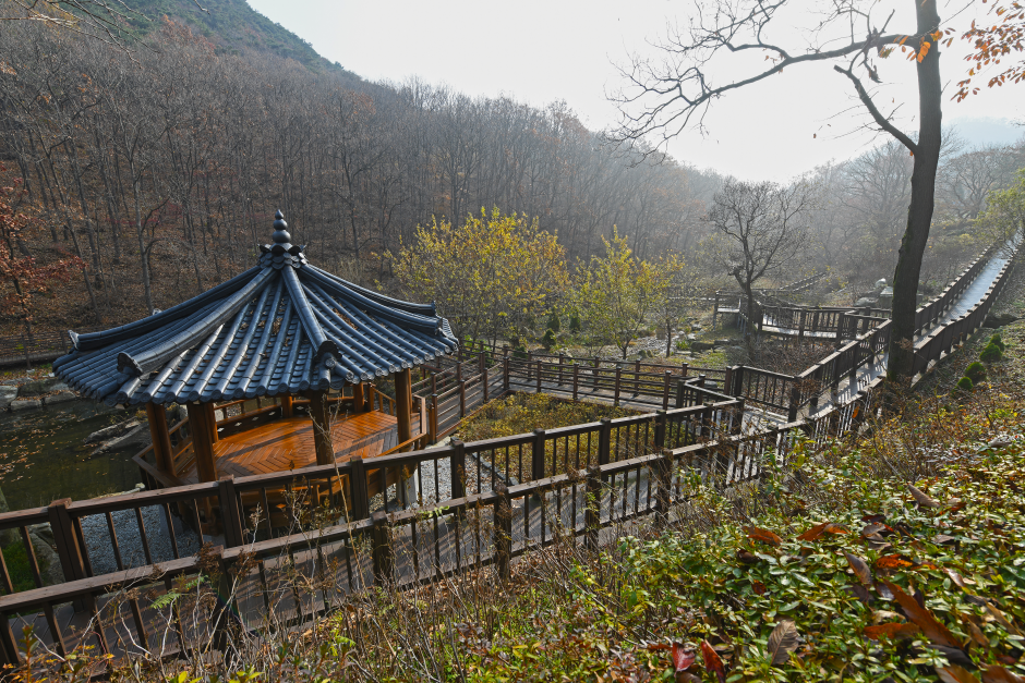 Seongmodo Island Arboretum (석모도 수목원)