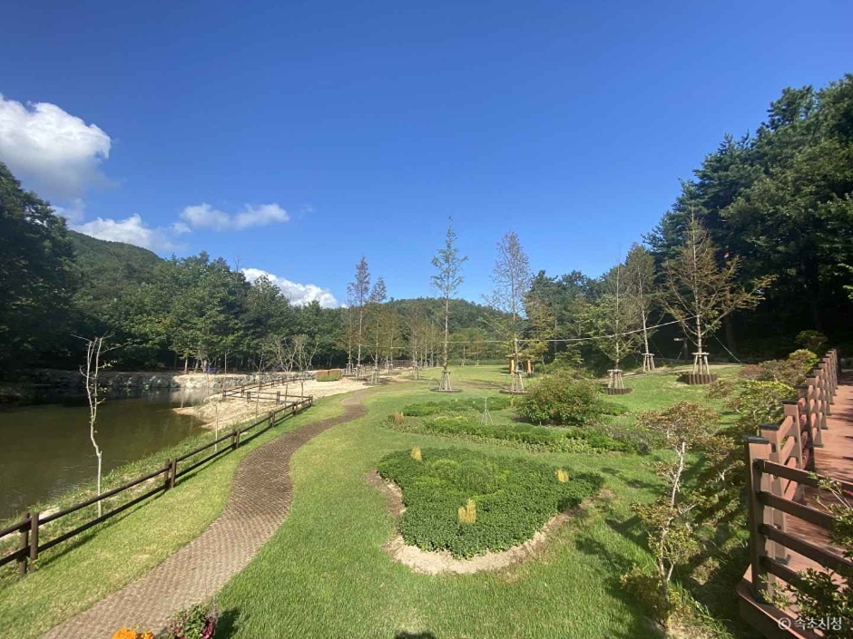 雪岳山野生植物园 (설악산 자생식물원)