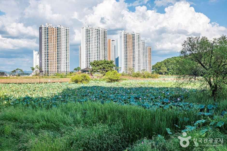 thumbnail-문성지-1