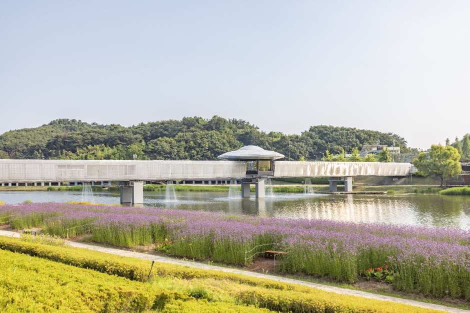 順天湾国家庭園（순천만 국가정원）