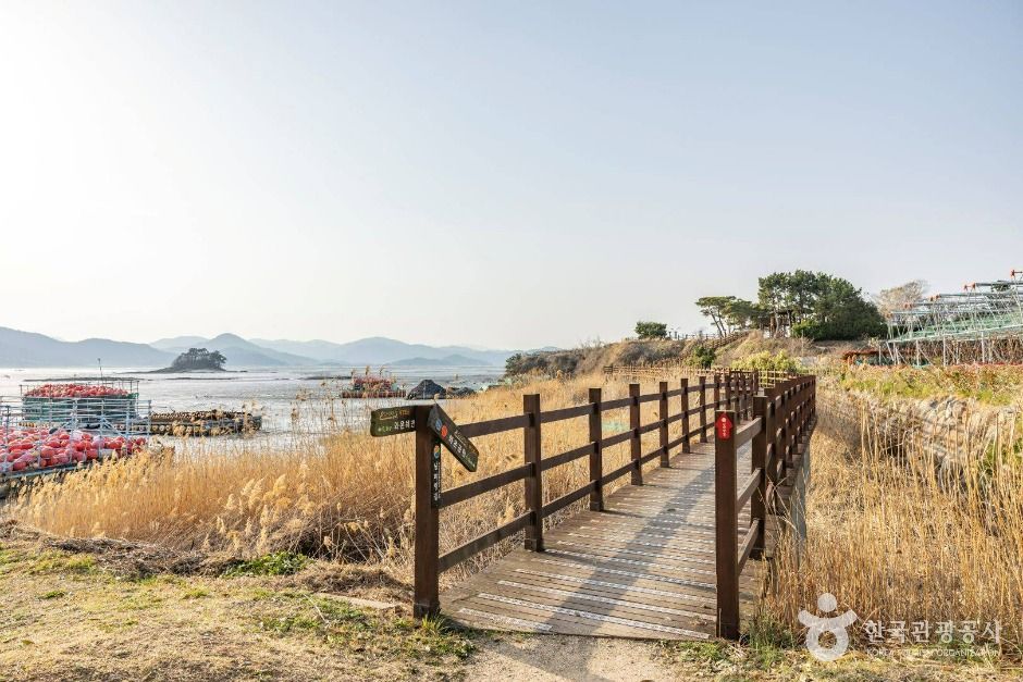 와온해변