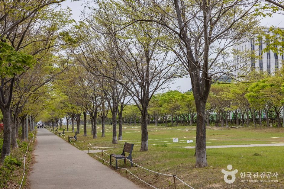 아미르공원