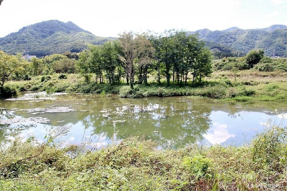 충주_비내길 (3)