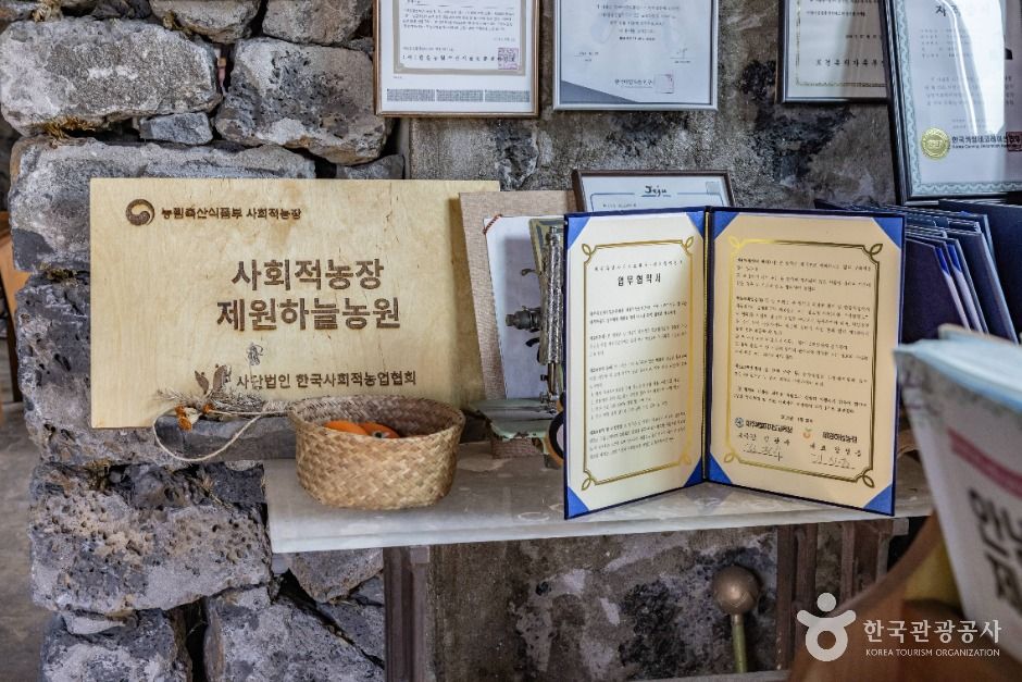 제원하늘농원
