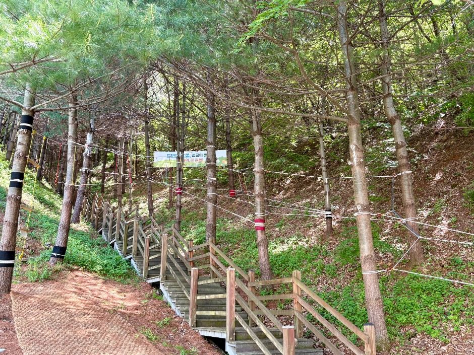 동구청소년자연수련원