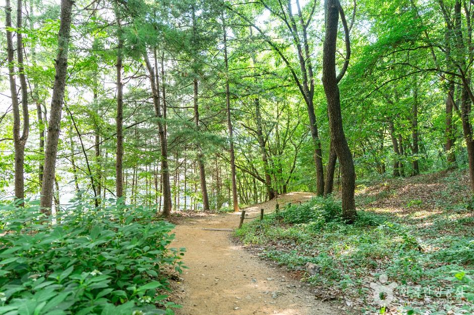 정발산공원