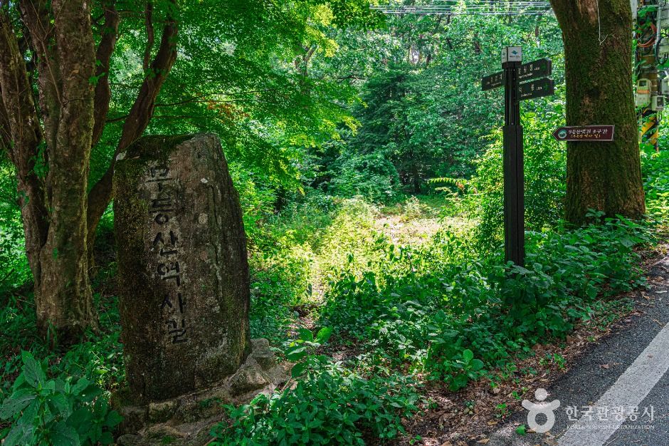[무등산 옛길 3구간] 장원삼거리-환벽당