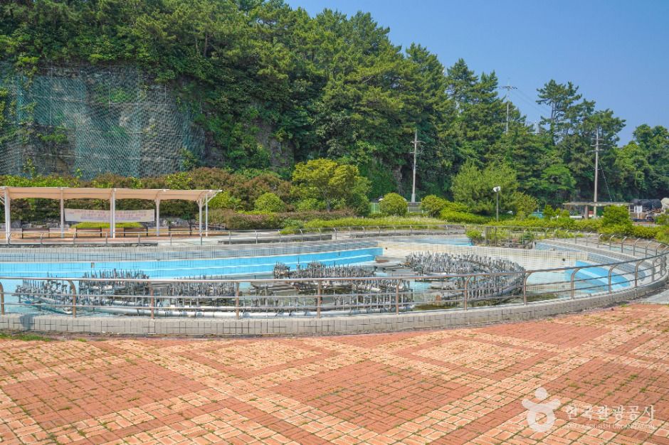 고성_맥전포항 (2)