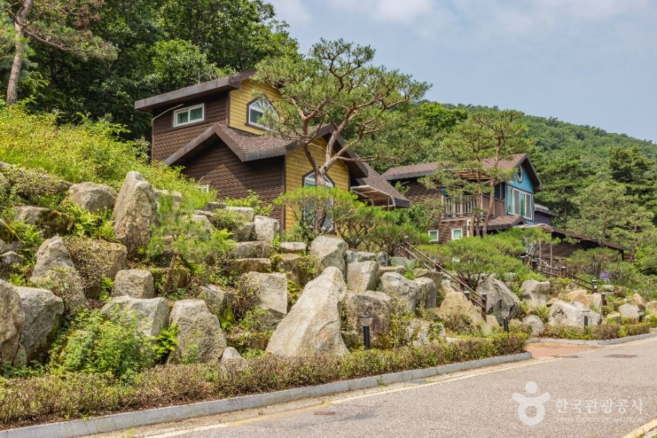 thumbnail-석모도 자연휴양림-17