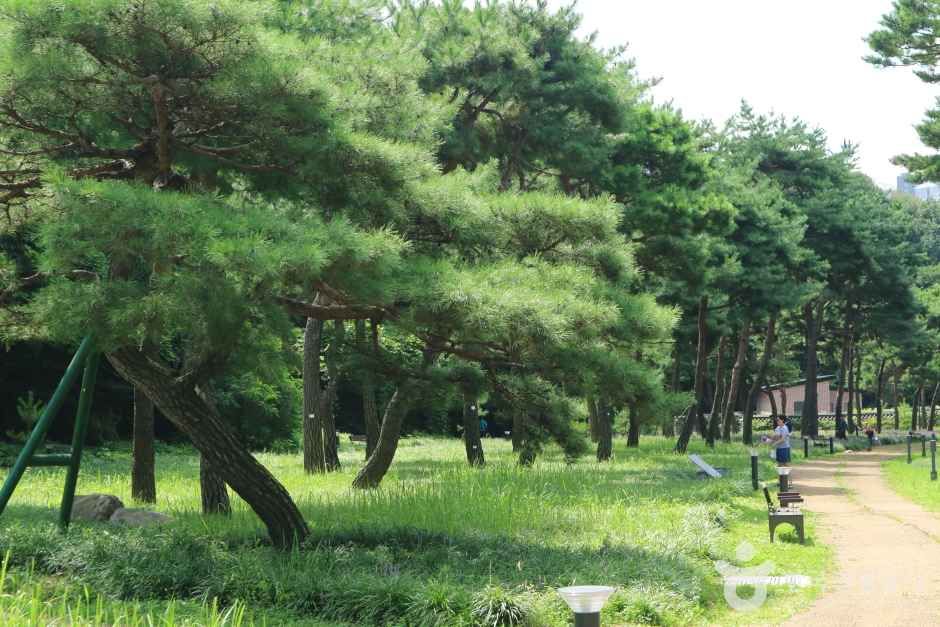 수원 노송공원