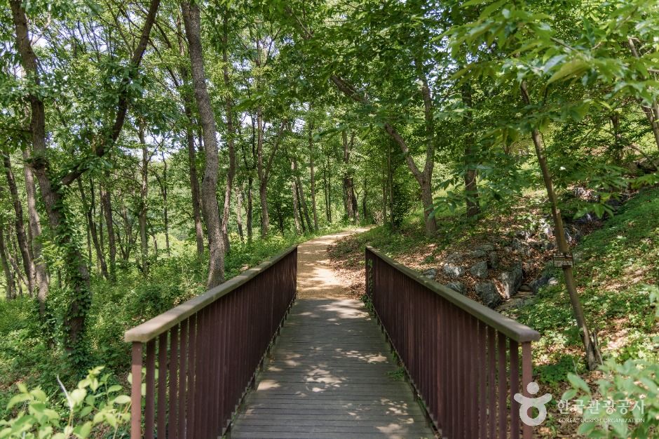 thumbnail-율곡수목원-5