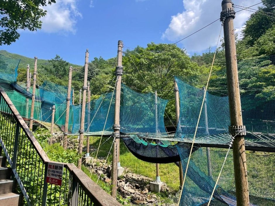 thumbnail-놀자숲-24