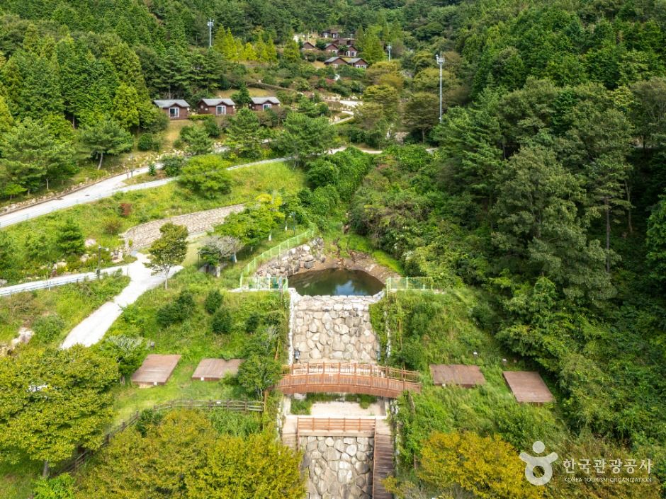 봉황산자연휴양림