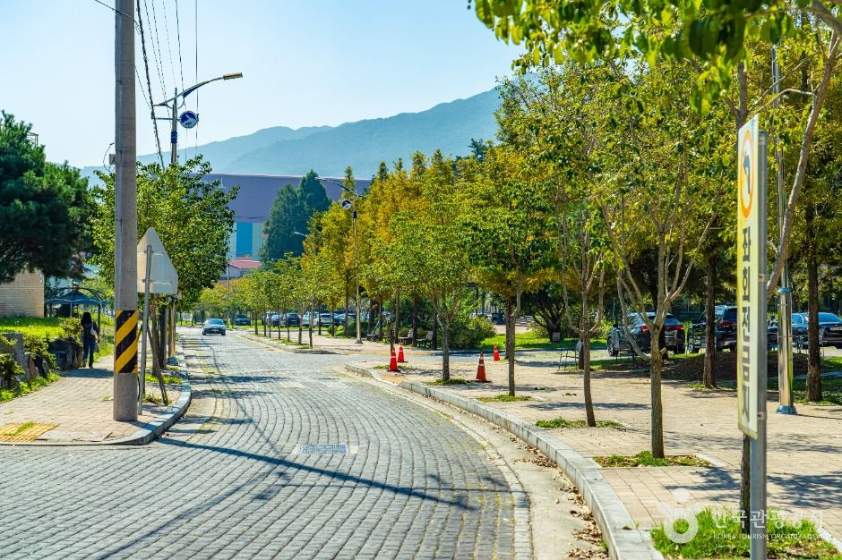 자연드림파크(구례)