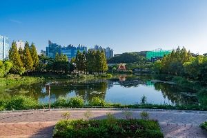 용인_동백호수공원 (1)