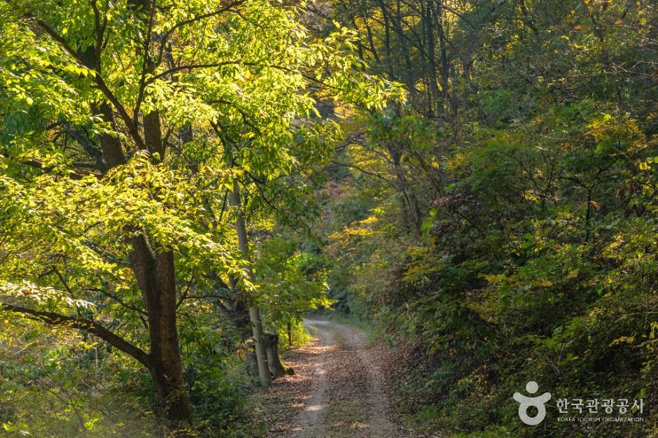 충주_충주호 종댕이길 (1)