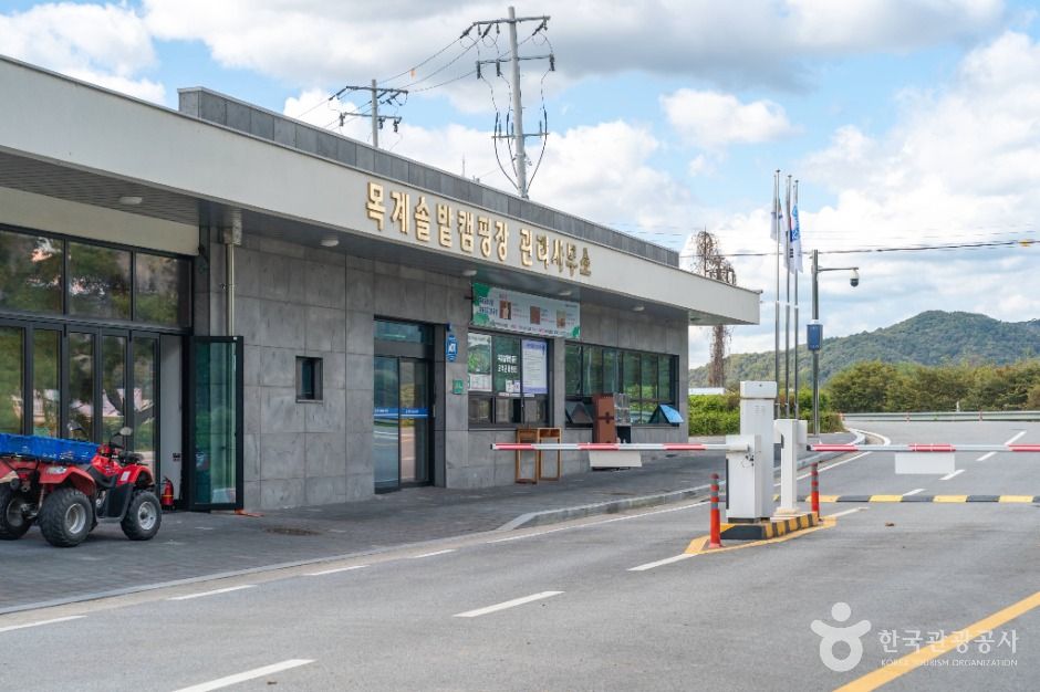 thumbnail-목계솔밭(충주)-5