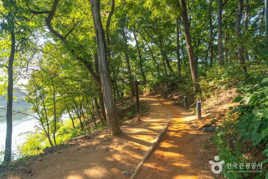 충주_호암지생태공원 (4)