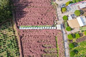 고창_꽃객프로젝트 (5)